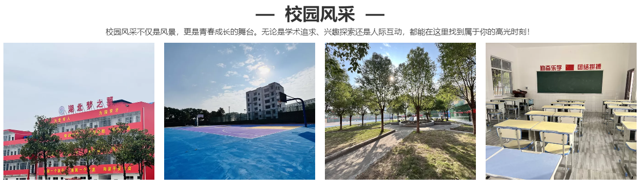 校园环境.png