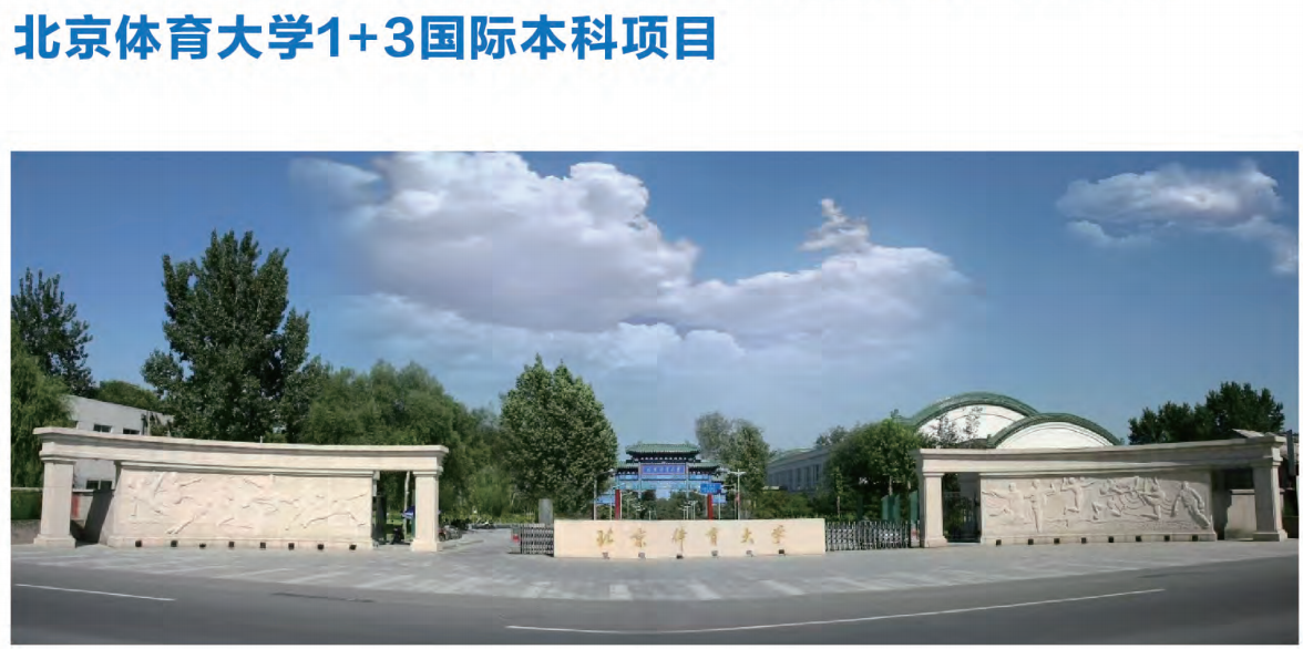 国际本科.png