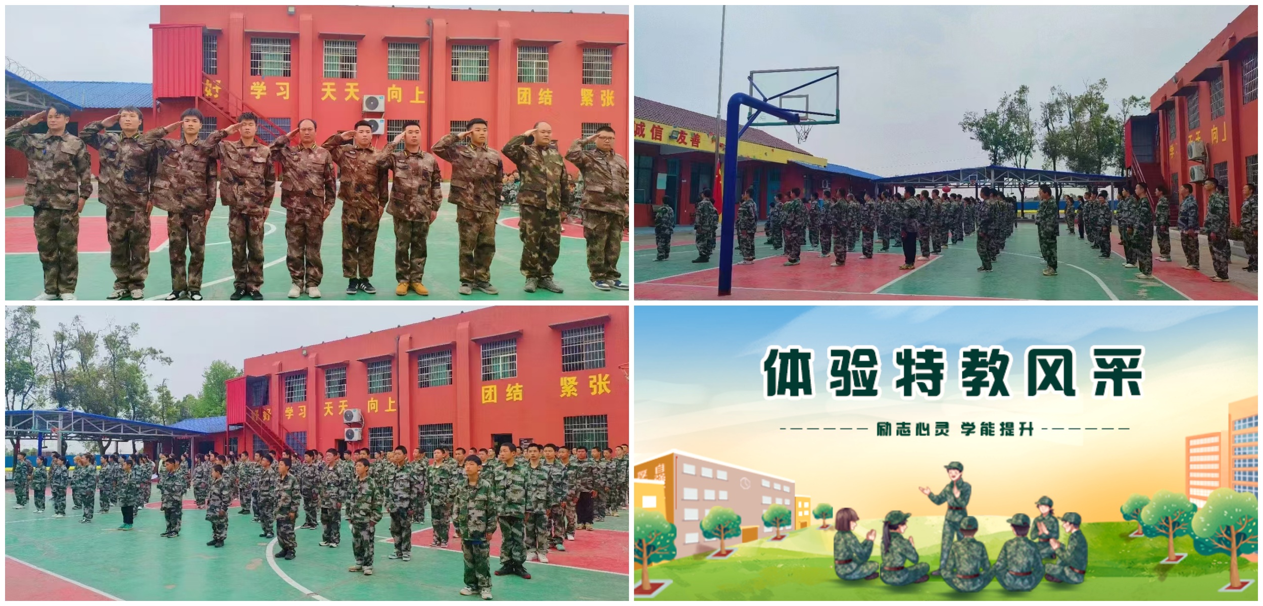 环境.jpg