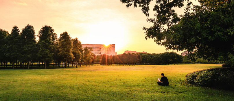 西华大学--成考.png