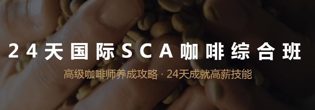 sca国际咖啡师证书.jpg