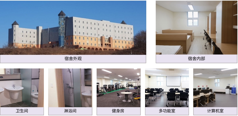 信韩大学2.png